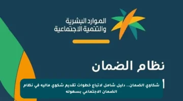 شكاوى الضمان.. دليل شامل لاتباع خطوات تقديم شكوى مالية في نظام الضمان الاجتماعي بسهولة